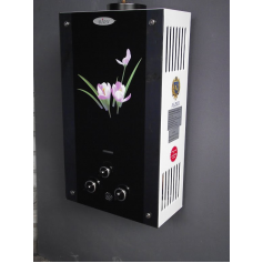 ГАЗОВА КОЛОНКА ДІОН JSD 10 ДИСПЛЕЙ (ЛІЛІЯ) в Запорожье